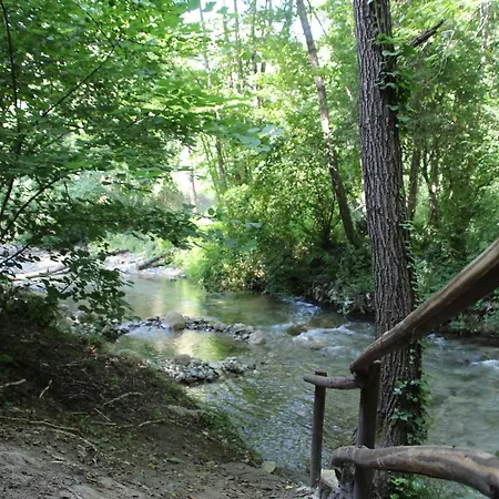River Tribe Experience Camp